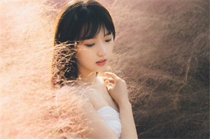 上海城市治理中的社会资本建设 上海城市治理中的社会资本建设